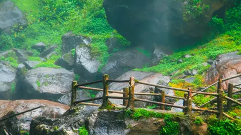 Kunming South Railway Station Butterfly Valley Family Trip | Vienna Hotel + Butterfly Fruit Exploration Guide When traveling with children around Kunming, the most surprising thing was discovering the little-known hidden gem, Honghe Butterfly Valley! — traveler post in Jinping