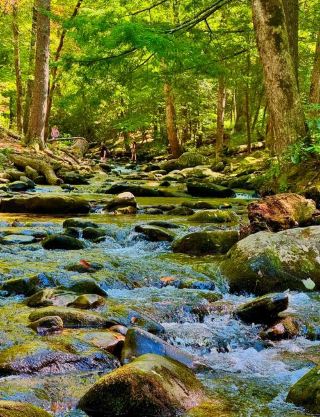 North Carolina Travel Guide: Exploring the Natural Wonders and Cultural Treasures Where Mountains Meet the Sea North Carolina