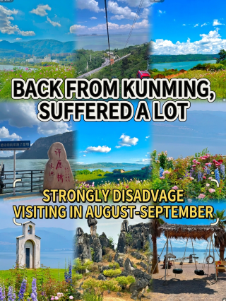 쿤밍에서 아이와 함께 여행하는 고된 여정을 마치고 돌아왔습니다. 8월이나 9월에 가는 건 정말 추천하지 않아요. 너무...