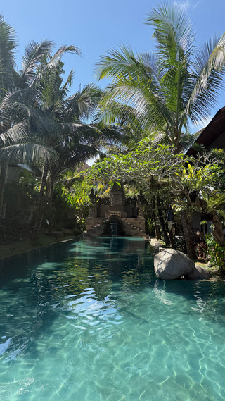 Sangat Direkomendasikan untuk Menginap di Ubud