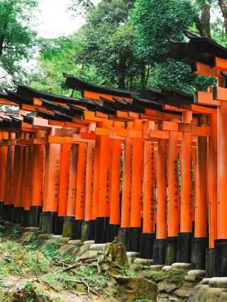 8日間日本旅行、あなたを楽々ガイド