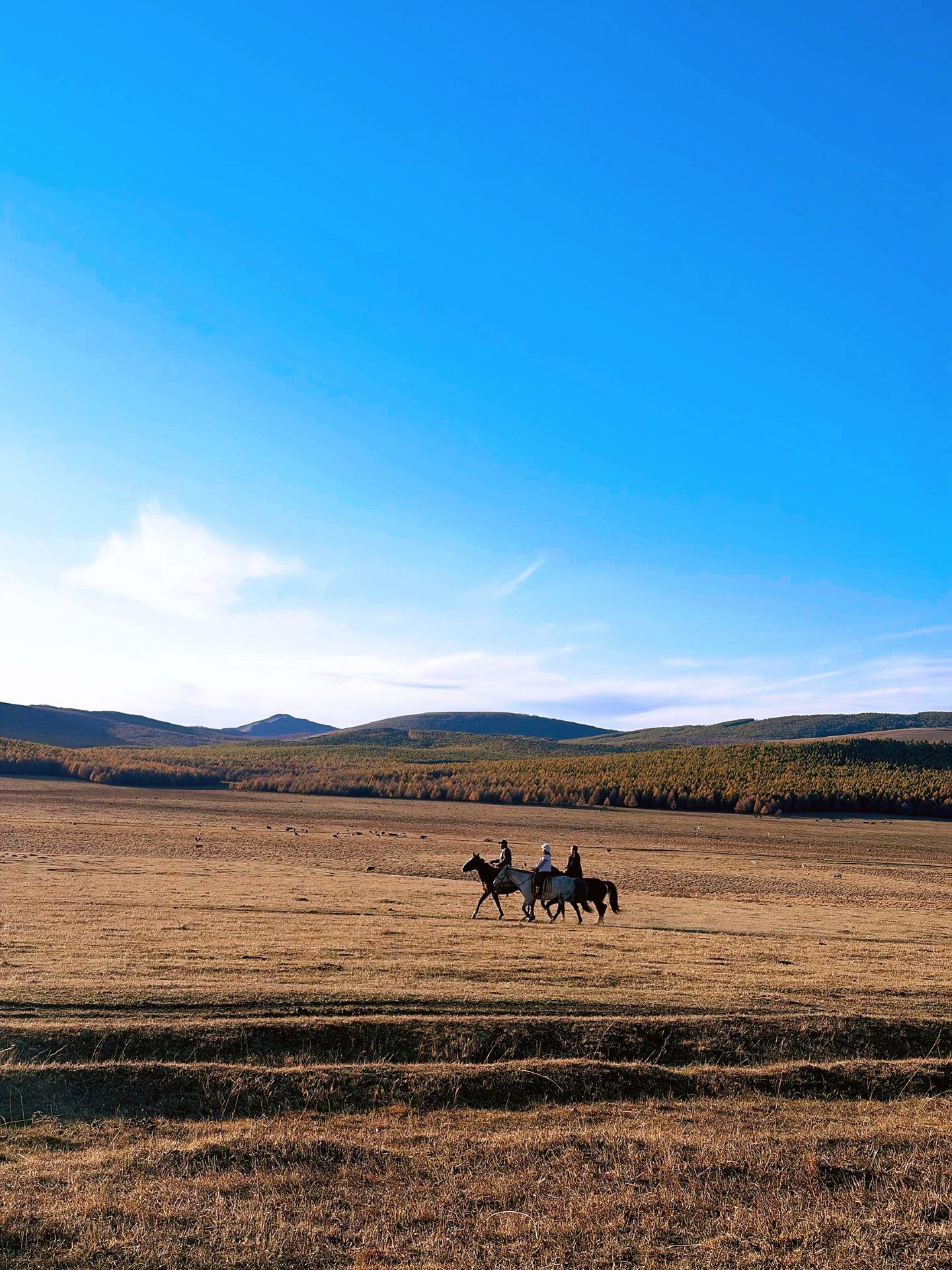 The magnificence and charm of the Pearl of the Grassland