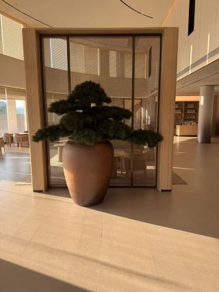 東蘭初のJIホテル、窓を開ければ紅水河