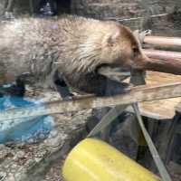わかりやすい！大阪eco動物海洋専門学校　天王寺動物園
