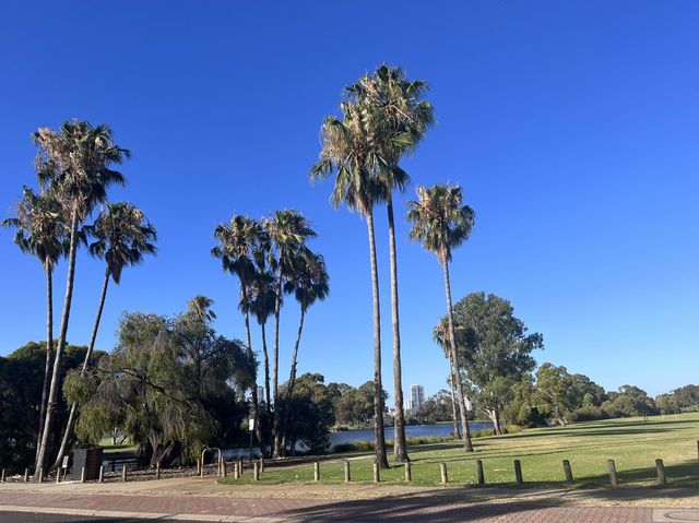 Lake Douglas, Swan Canning Riverpark😎📸🤩