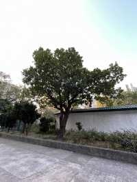 糅合中西合璧設計嘅黃大仙文化公園