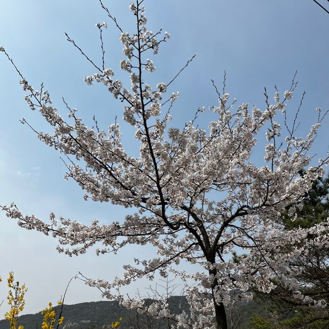 Hiking in Anyang