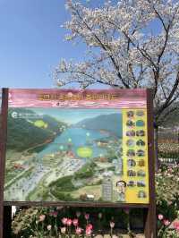 주말 나들이, 봄꽃 보러 송해공원 어때요🌷🌸