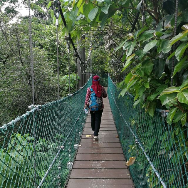 The greenery in KL, KL Eco Park