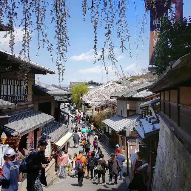 Kiyomizu-dera, Kyoto in Spring! 🌸🍀🌿🌱