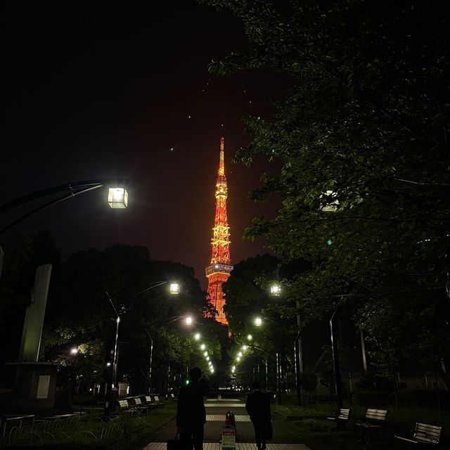 숨은 도쿄타워 관람 명소🗼