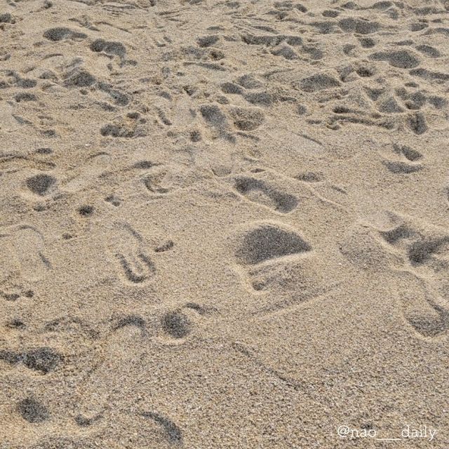 【ただただ綺麗な海🏝️ 伯方ビーチ】