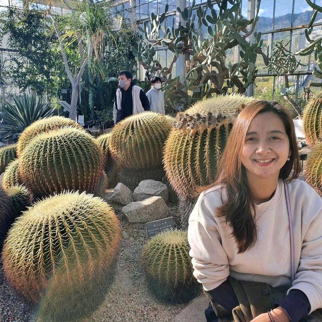 Hiroshima Botanical garden