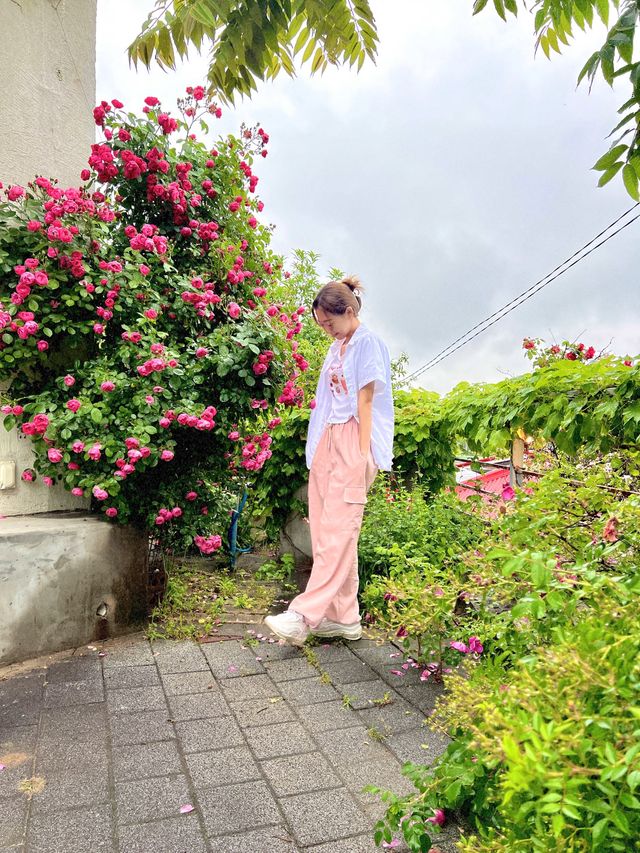 [김해] 숨은 장미 맛집 “카페 필로”💫🌹