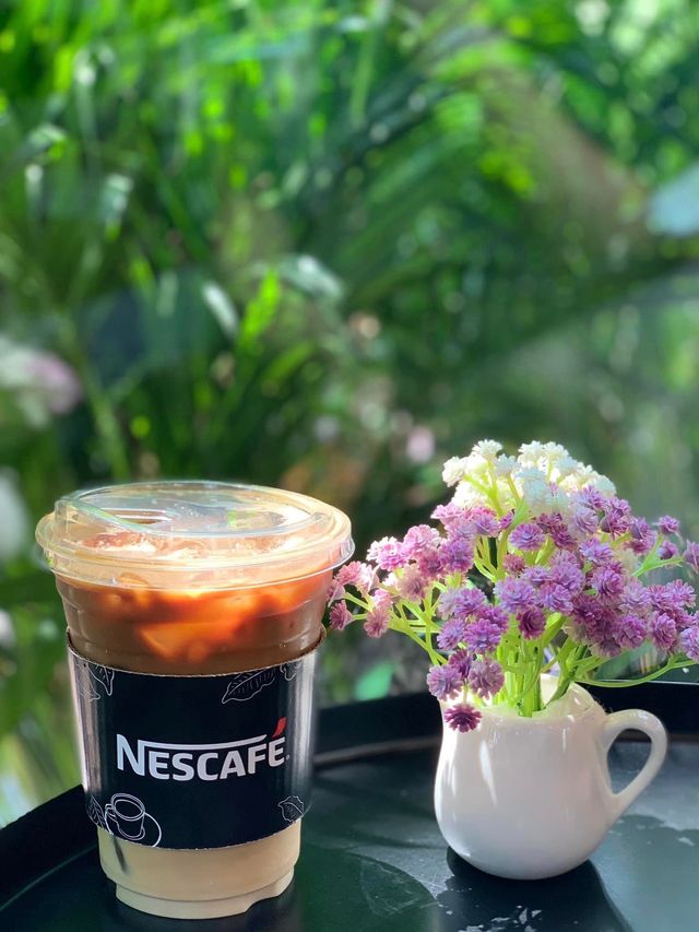 Nescafe Street Café | Kasetsart University