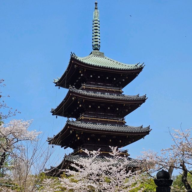 東京必到景點之上野恩賜公園