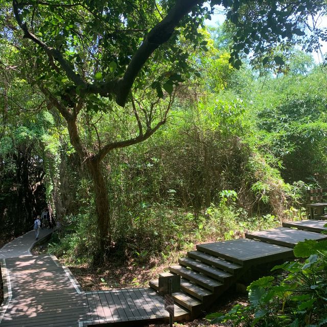 ✨山豬溝生態步道✨