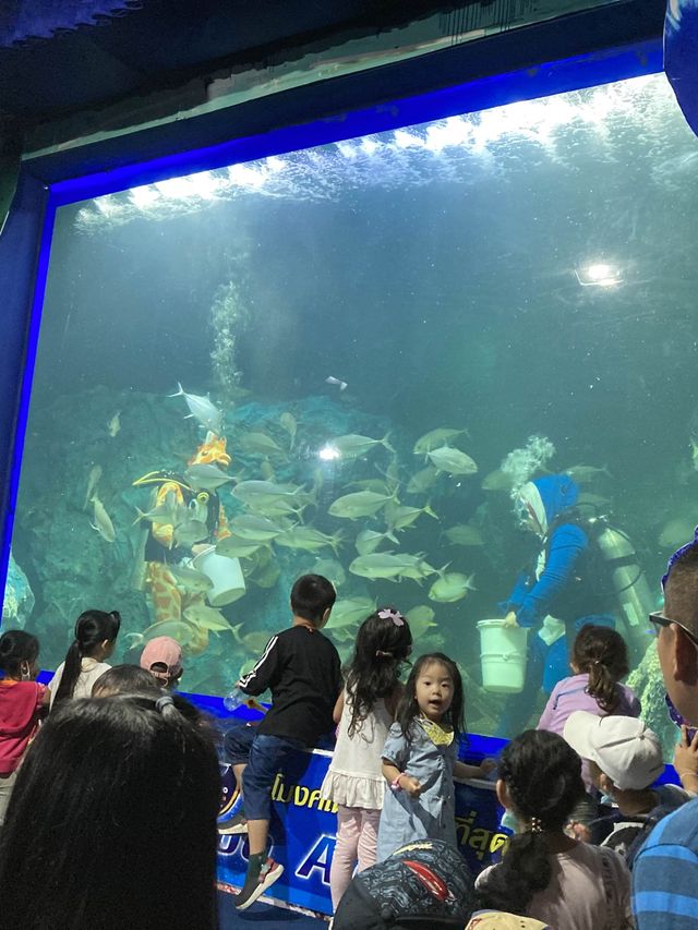 ‘ซู อควาเรียม’ พิพิธภัณฑ์สัตว์น้ำที่ใหญ่ในภาคเหนือ