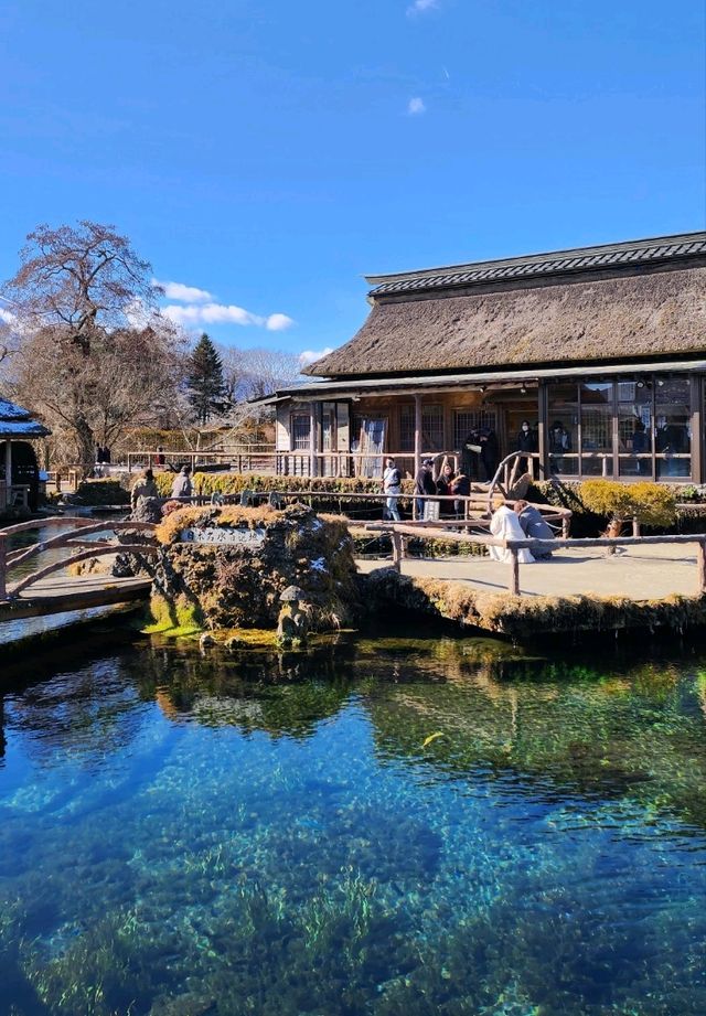 忍野八海🏔看到富士山之世外桃園