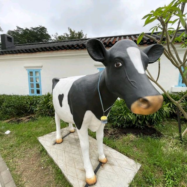 Pokulam @,@ farm