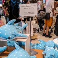 【ぜひ遊びに行って欲しい！】大阪最大の水族館