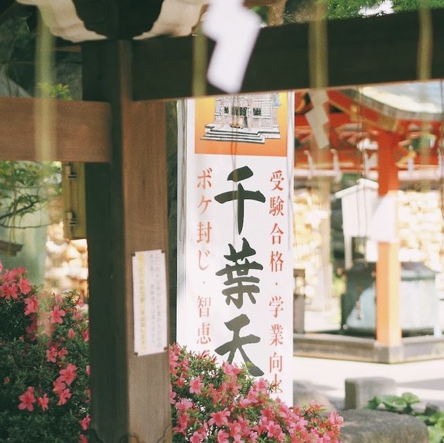 Amazing place to visit 