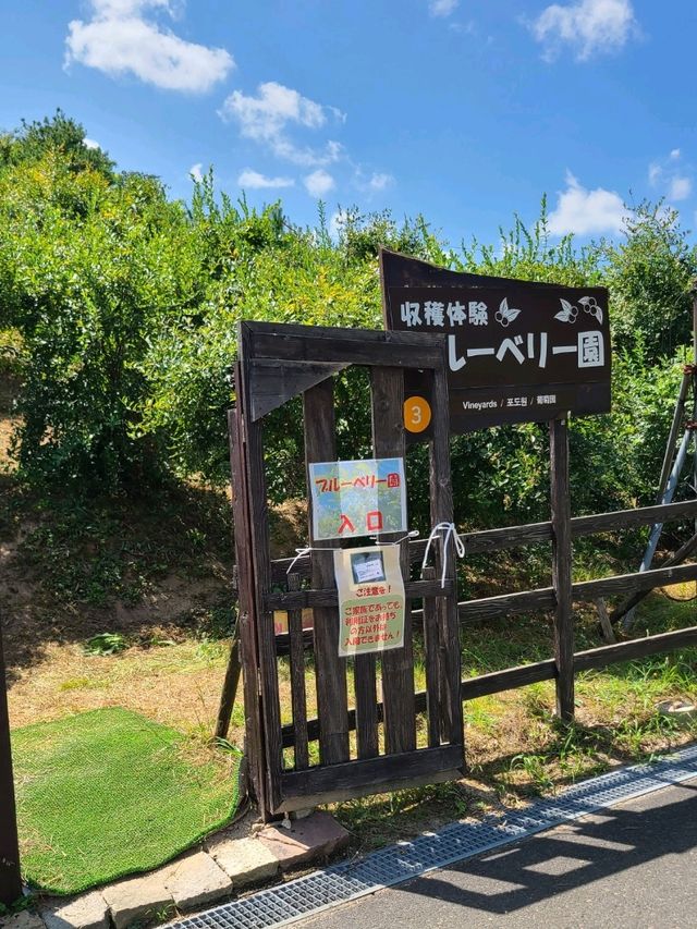 【京都】道の駅丹後王国を散策