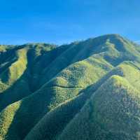 宜蘭抹茶山⛰️汗流浹背攻頂的碩果