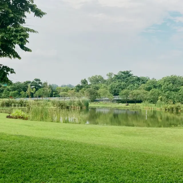 Riverside Park at the Heartlands