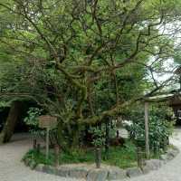 愛知旅行！観光名所「熱田神宮」