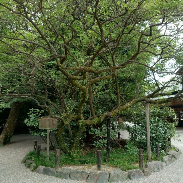 愛知旅行！観光名所「熱田神宮」