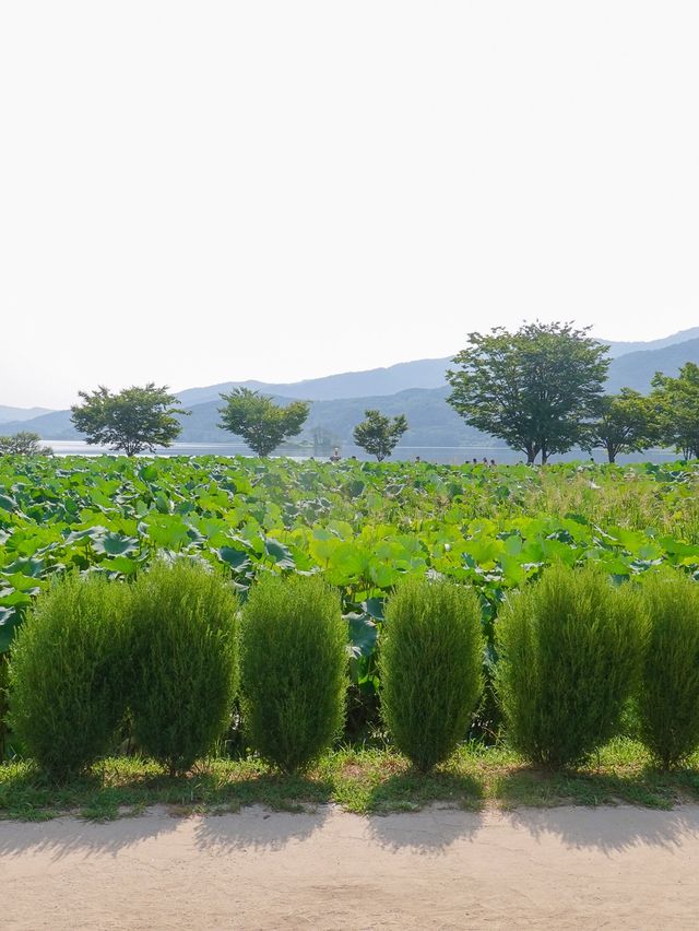 서울 근교 양평 당일치기 여행코스