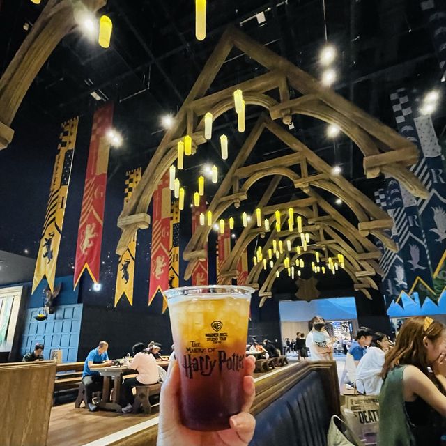 Harry Potter Studio 真係好正呀