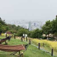 神戸布引ハーブ園/ロープウェイ