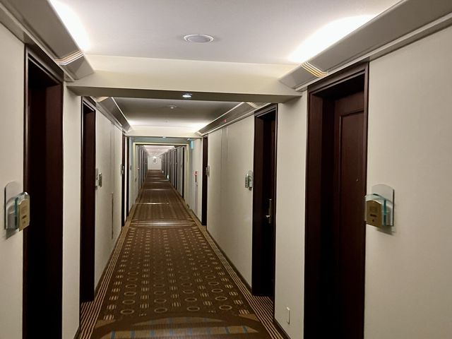 Hotel Nikko Kansai Airport