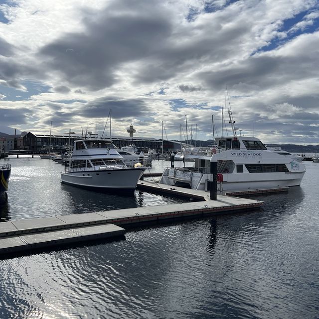 荷伯特 Tasmanian Wild Seafood Adventure海鮮遊艇之旅