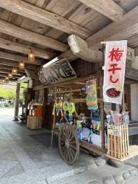 《愛知旅行》 おすすめ観光スポット🚩香嵐渓!