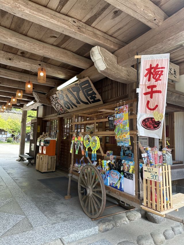 《愛知旅行》 おすすめ観光スポット🚩香嵐渓!