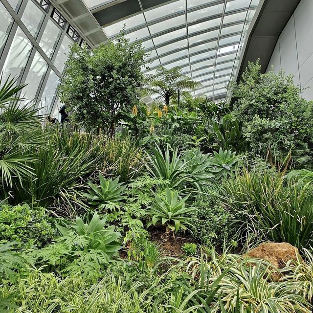 Sky garden 