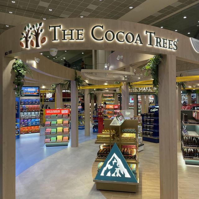 Changi Airport Newly Renovated Terminal 2