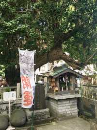 【神奈川県/海南神社】海のそば三浦半島の総鎮守