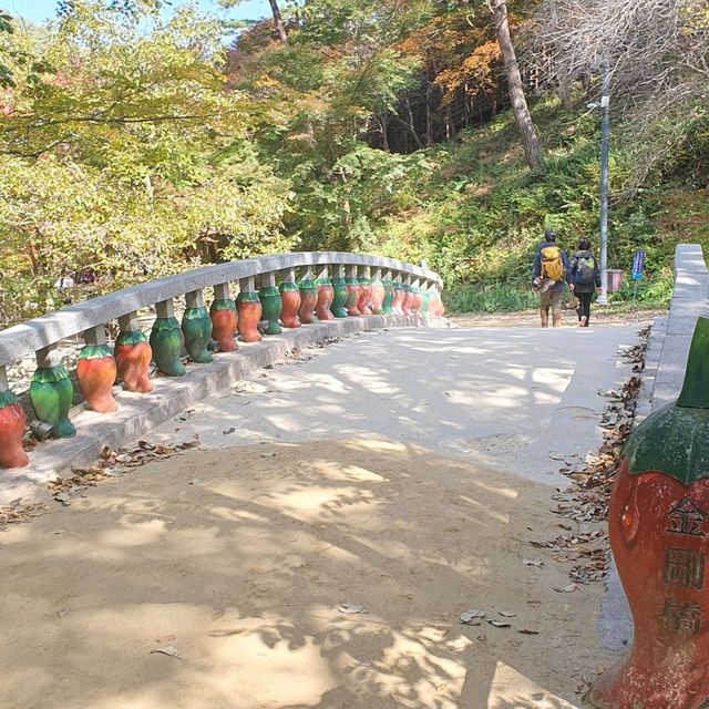 新楓葉團推薦💜剛泉山群立公園