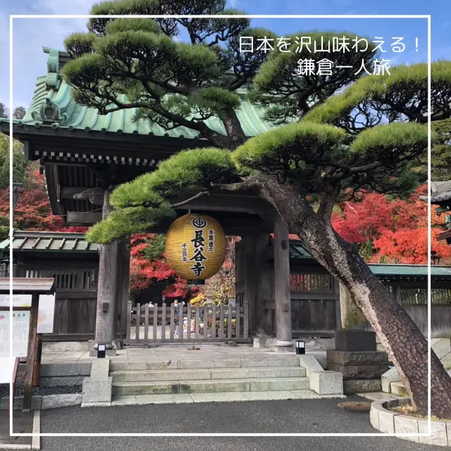 【鎌倉一人旅】