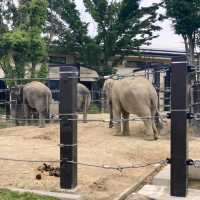 1903年開業の歴史ある動物園