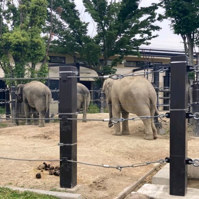 1903年開業の歴史ある動物園
