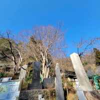 【絶景】高尾山から眺む。八王子市