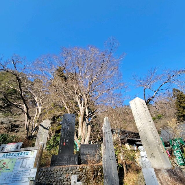 【絶景】高尾山から眺む。八王子市