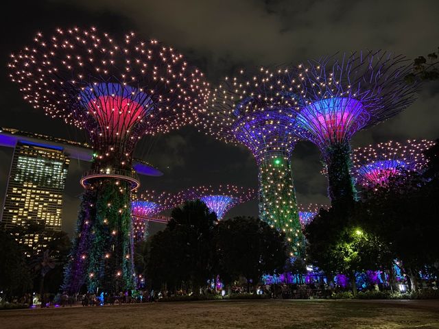 Must-visit place for your 1st Singapore Trip