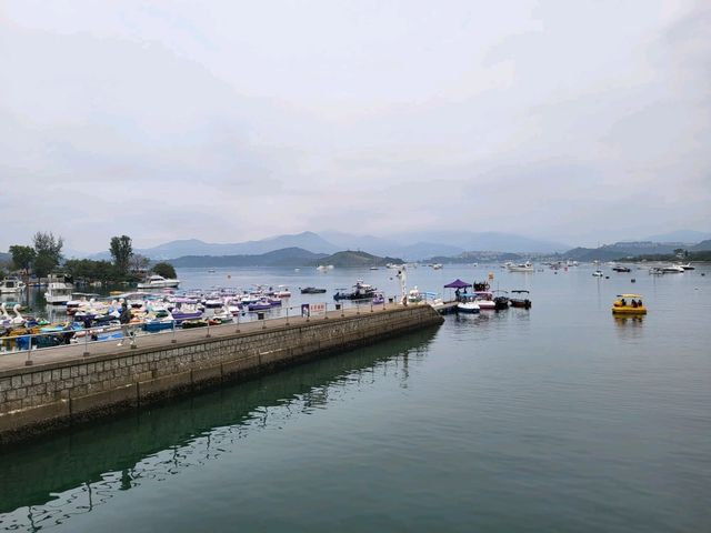 郊區大尾篤本地一天遊