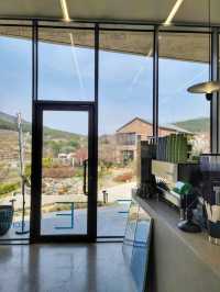 3월초 오픈한 역대급 통창뷰 청도 신상카페🌳☕️